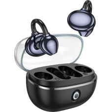 Borofone TWS Bluetooth Earphones FQ5 Spirit black