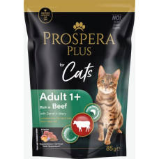 Prospera Plus Konservi kaķiem - Prospera Plus, Cat Pouch Adult 1+, Beef and Carrot, 85 g