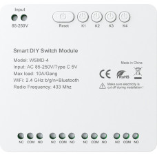 DIY Avatto WSMD-4 250V smart switch module
