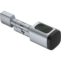 Avatto SDL-V1-S100 100mm Silver digital lock cylinder