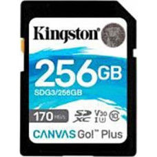 Kingston Canvas Go Plus 256GB