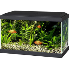 Ciano (Pt) Ciano Aqua 20 LED Black, 17L - aprīkots akvārijs