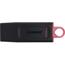 Kingston Technology DataTraveler Exodia USB flash drive 256 GB USB Type-A 3.2 Gen 1 (3.1 Gen 1) Black