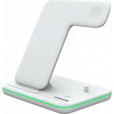 Canyon  
         
       Wireless Charging Station WS-302 
     White