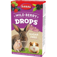 Sanal (Nl) Sanal Wild Berry Drops Sugar Free, 45g - meža ogu gardumi, bez cukura