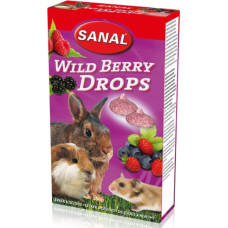 Sanal (Nl) SANAL Wild Berry Drops, 45g - multivitamīnu kārums ar meža ogām grauzējiem