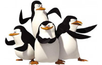 Madagaskaras pingvīni