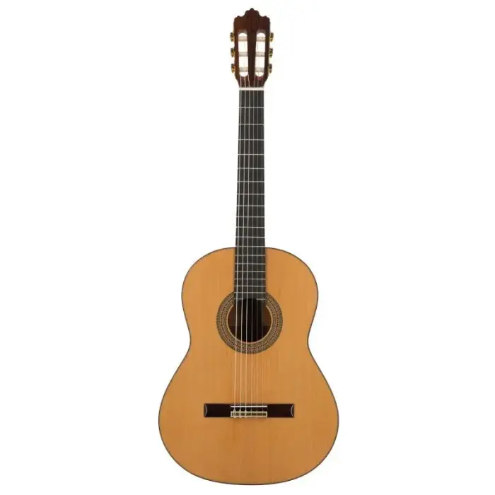 Klasiskā ģitāra Prodipe Guitars Soloist 900 4/4