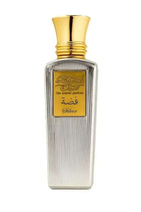 Blend Oud Classic Coll Silver EdP 75ml