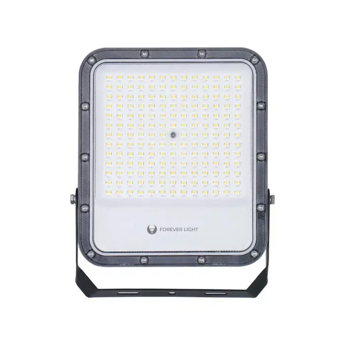 Forever Light PROXIM+ LED прожектор 100W 4000K IP65
