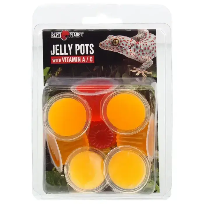 Repti Planet Jelly Pots Fruit Complementary Feed for Reptiles
