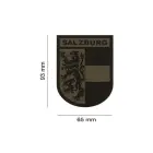 Clawgear Salzburg Shield Patch — Photo 4