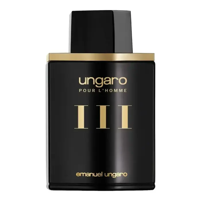Emanuel Ungaro Pour L'Homme III kvepalai vyrams 100 ml