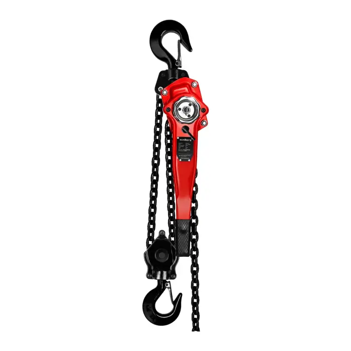 Steinberg Systems SBS-FZ 6000/5M Ķēdes celtnis 6T / 5m