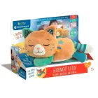 Breathing Kitten — Foto 1