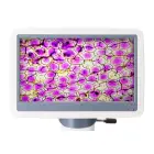 Levenhuk D85L LCD Digital Microscope — Photo 5