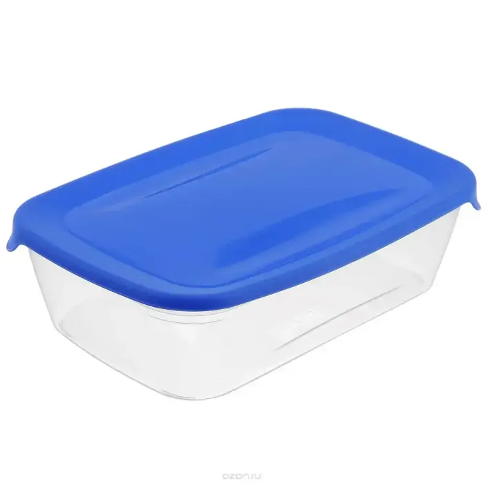 Rectangular Food Container 2L Fresh&Go Blue