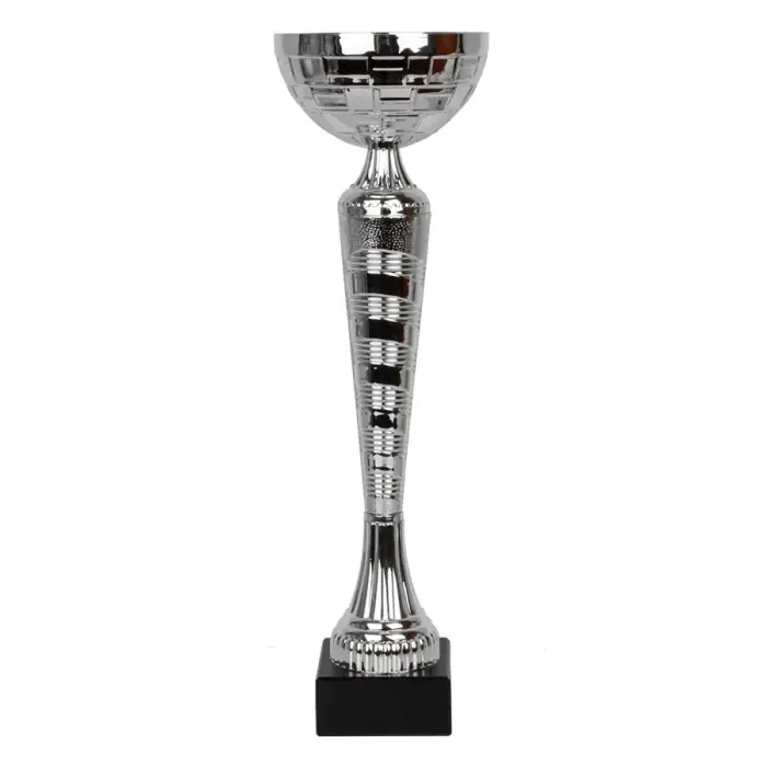 Karikas Tryumf W2079 Silver Hõbedane