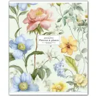 Klade, 48 lapas, rūtiņu, UV laka Foto 15