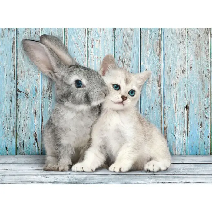 Cat and Bunny pusle 500 tk