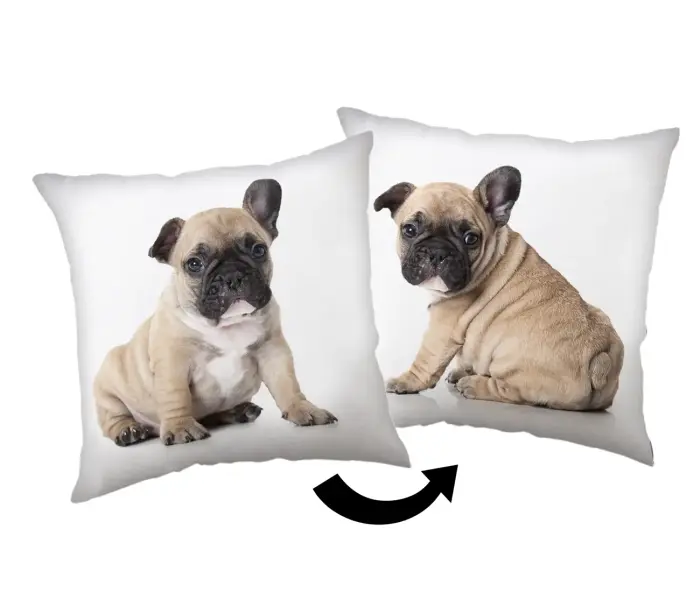 Dekoratiivne padi 40x40 cm Bulldog Valge/Beie