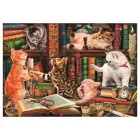 Curious Whiskers pusle 1000pcs — Foto 3