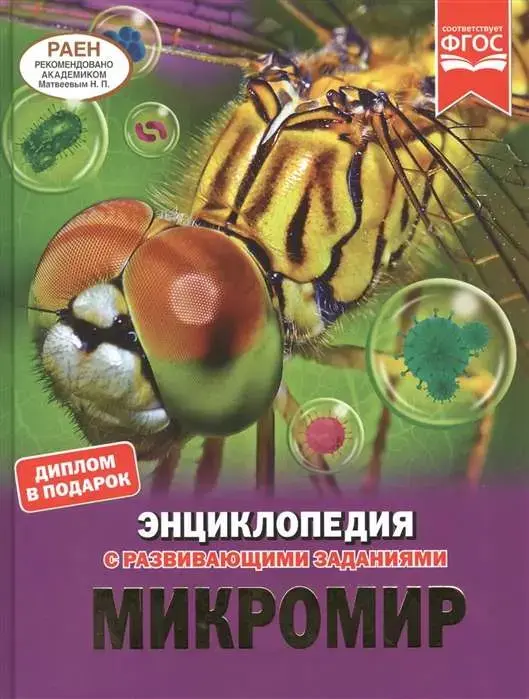 Mikromir