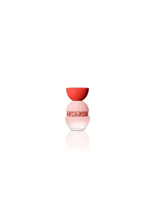 El Ganso Fun y Chic Eau de Parfum 100 ml Spray
