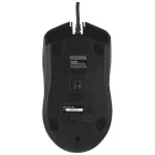 A4TECH OP-760 USB Mouse — Foto 6