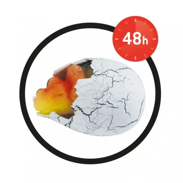 Buki Magic Egg Foto 2