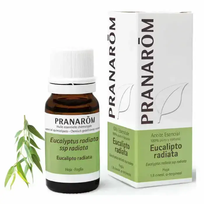 Pranarom Eikalipta Radiata ēteriskā eļļa 10ml