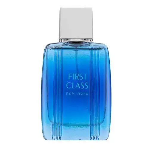 Aigner First Class Explorer Eau de Toilette for men 50 ml