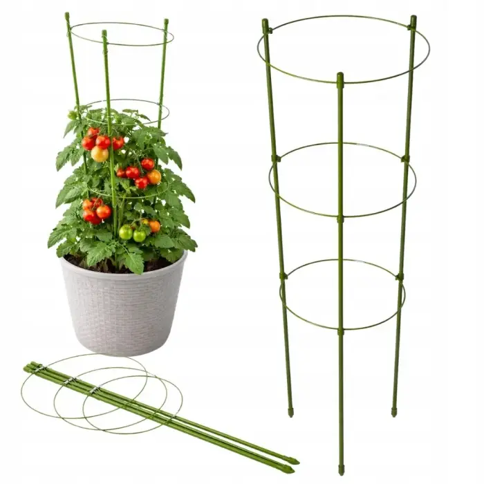 Taimede ringtoe 60 cm lillering 3 ringiga DIVODV