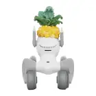 Knitted costume for Loona Premium Pineapple Photo