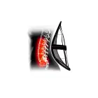 Mesh lumbar back support BS-01 — Photo 4