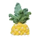 Knitted costume for Loona Premium Pineapple Photo