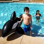 Bestway Jumbo Inflatable Orca 41009 — Photo 3