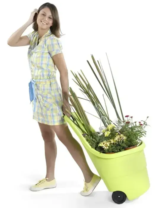 тачка Easy Go Breeze 50L черный Фото num