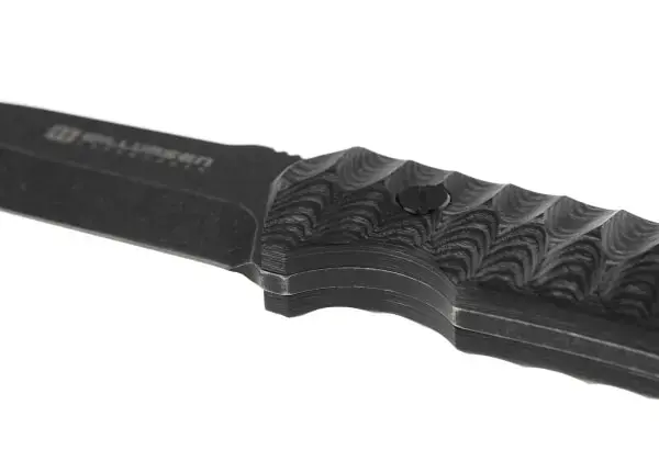 Birddog āra nazis Foto 5