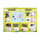 Tarentula R/C, Buki, with controller Photo