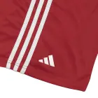 adidas ADIBTS02 boksa šorti - m — Foto 4