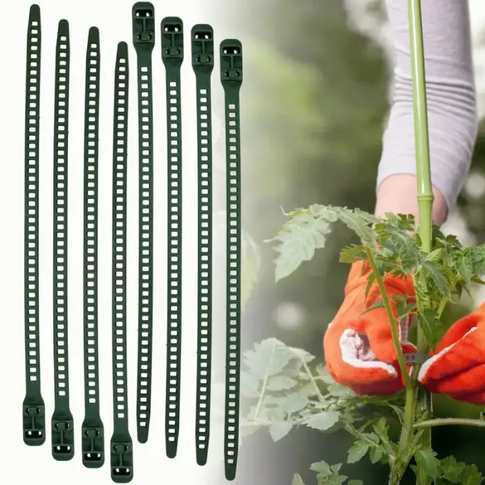 ProGarden aiasidemed 8 tk