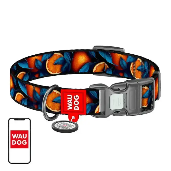 Waudog "Апельсины" нейлоновый ошейник для собак с QR-кодом, размер M