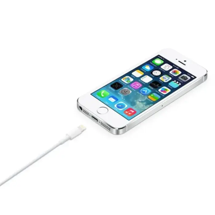Apple MD819ZM/A Lightning kabelis 2m