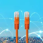 Qoltec CAT5E UTP Crossover Patch Cable 3m — Photo 7