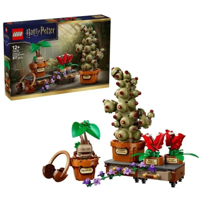 LEGO Harry Potter 76474 - Cūkkārpas augu mācība