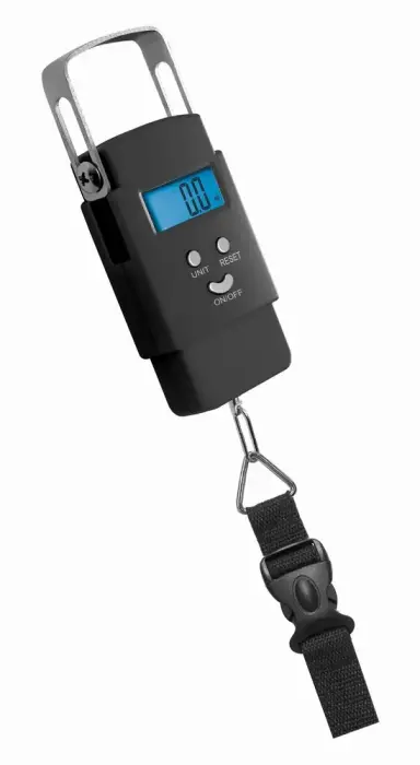 FISHING SCALE TYL-S02A (100)