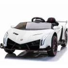 Lamborghini Veneno, 2 persons — Photo 1