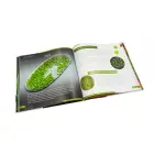 Invisible World. Knowledge book — Photo 8