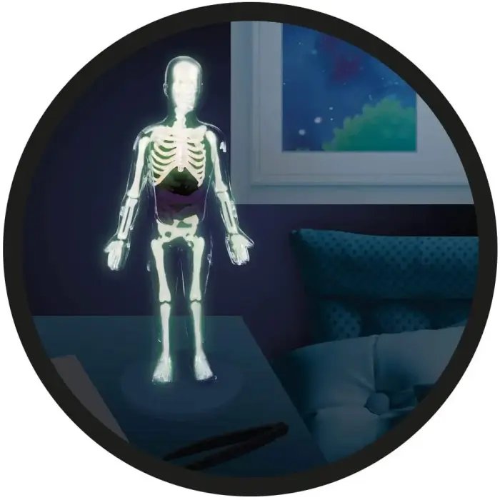 Experiment kit, Buki, Human Body Foto 5